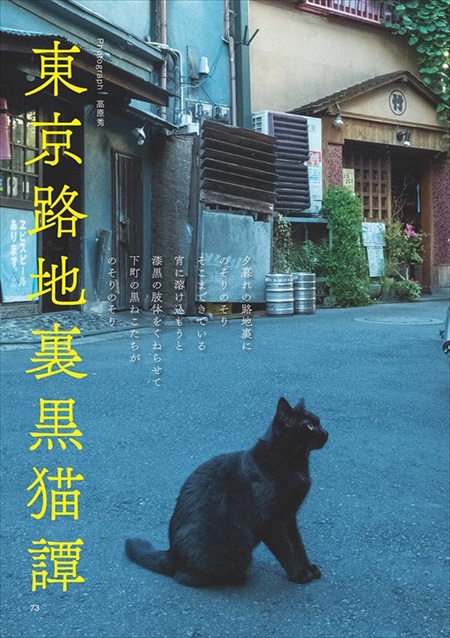 黒猫まみれ