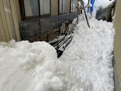 猫ちゃんが保護された場所