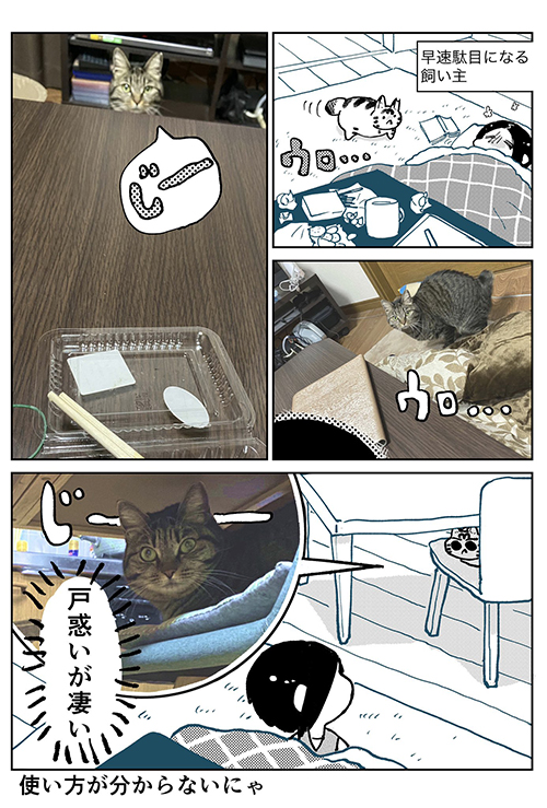  3本足のしじみちゃん112.3