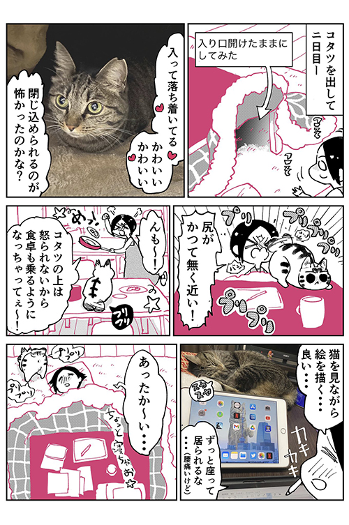  3本足のしじみちゃん113.1