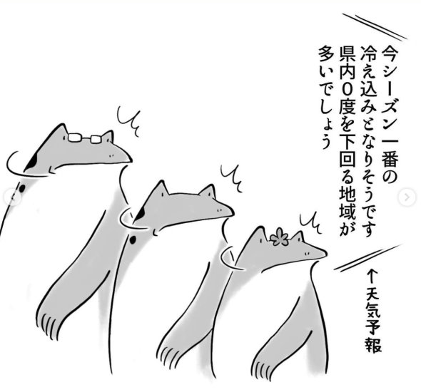 静岡県民 冬 雪 Instagram 漫画