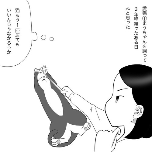「愛猫2にゃうちゃんがうちの子になった時のこと1」