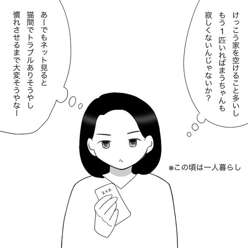 「愛猫2にゃうちゃんがうちの子になった時のこと1」