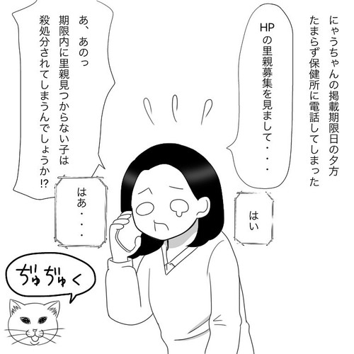 「愛猫2にゃうちゃんがうちの子になった時のこと1」