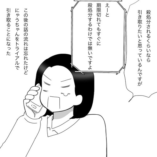 「愛猫2にゃうちゃんがうちの子になった時のこと2」