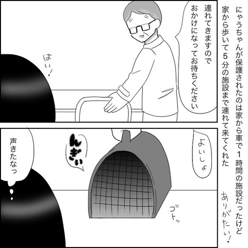 「愛猫2にゃうちゃんがうちの子になった時のこと2」