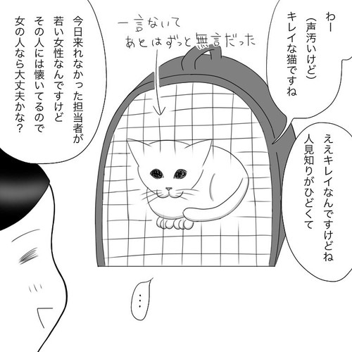 「愛猫2にゃうちゃんがうちの子になった時のこと2」