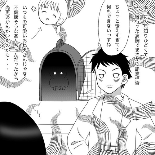 「愛猫2にゃうちゃんがうちの子になった時のこと2」