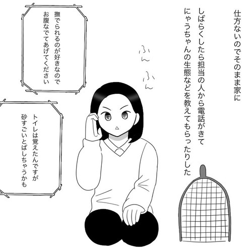 「愛猫2にゃうちゃんがうちの子になった時のこと2」