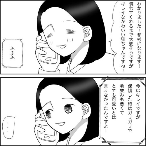 「愛猫2にゃうちゃんがうちの子になった時のこと2」