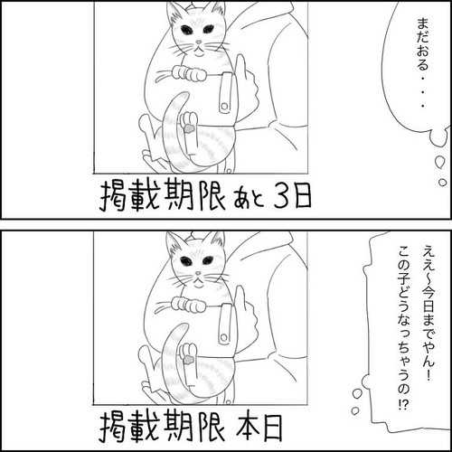 「愛猫2にゃうちゃんがうちの子になった時のこと1」