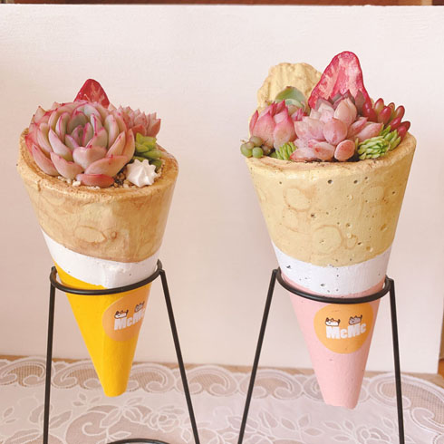 クレープ鉢植え