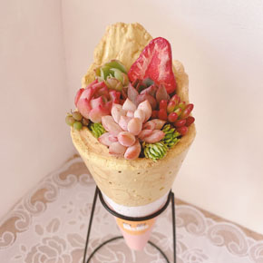 クレープ鉢植え