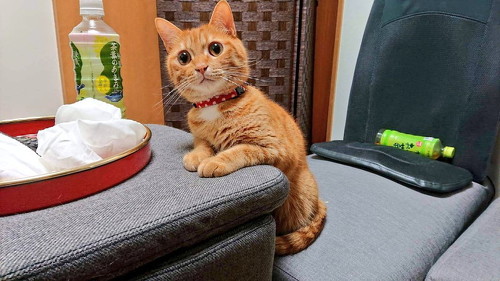 休憩しよ？