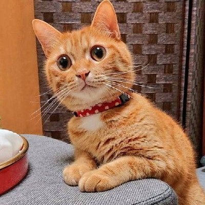 休憩しよ？