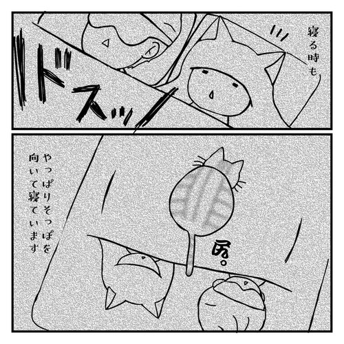 「ツンデレ猫は〇〇でものを語る」