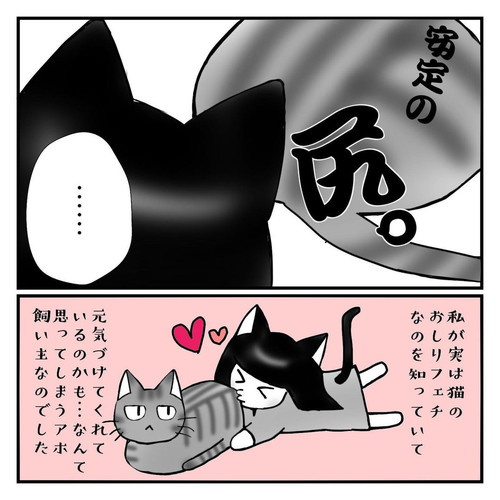 「ツンデレ猫は〇〇でものを語る」