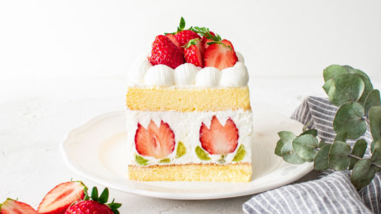 チューリップ ショートケーキ 断面 イチゴ かわいい デザイン スイーツ
