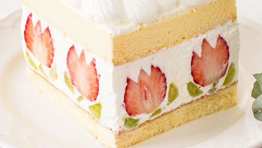 チューリップ ショートケーキ 断面 イチゴ かわいい デザイン スイーツ