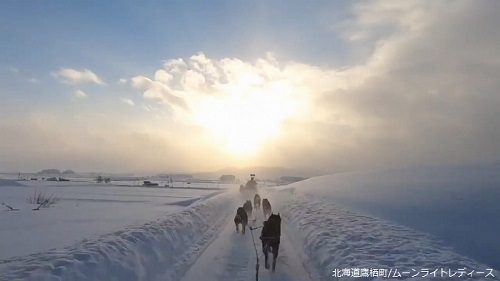 犬ぞり ムーンライトレディース