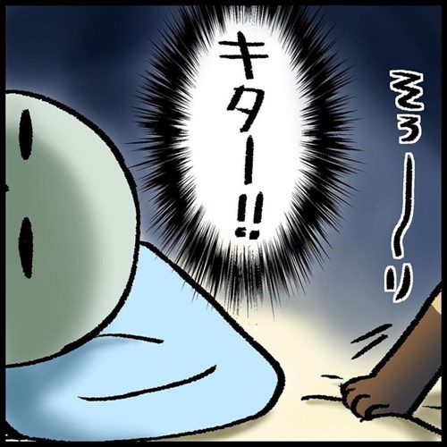 猫ちゃんとの駆け引き