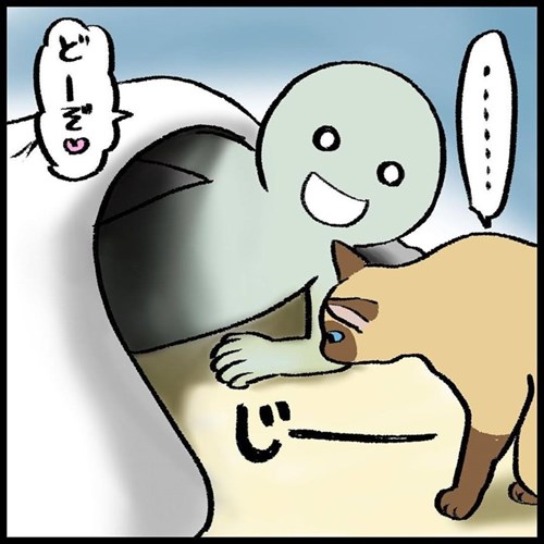 猫ちゃんとの駆け引き