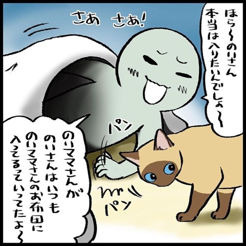 猫ちゃんとの駆け引き