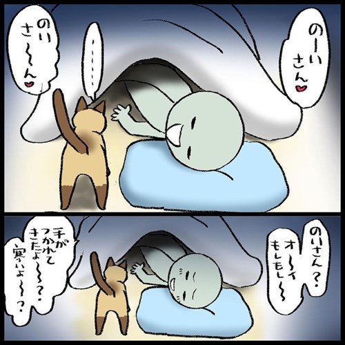 猫ちゃんとの駆け引き