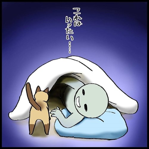 猫ちゃんとの駆け引き