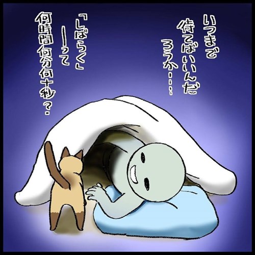 猫ちゃんとの駆け引き