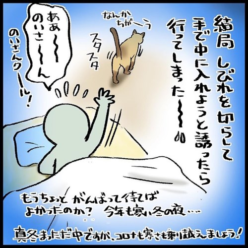 猫ちゃんとの駆け引き