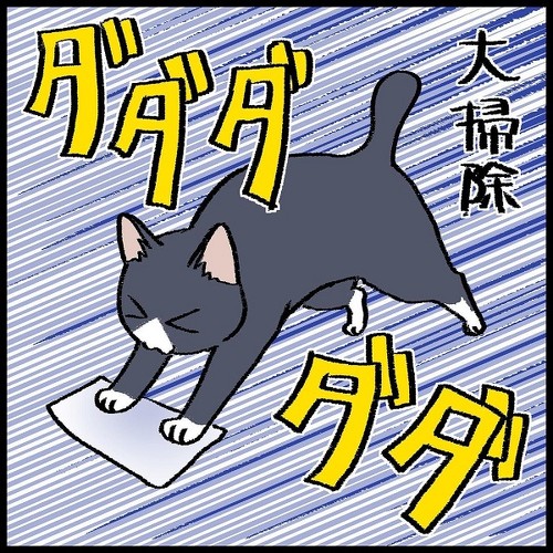 猫ちゃんとの駆け引き