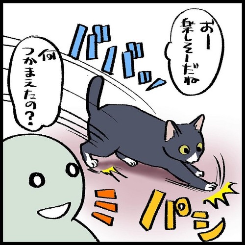 猫ちゃんとの駆け引き