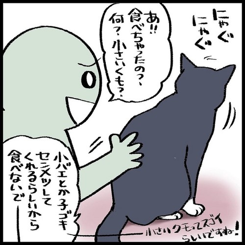 猫ちゃんとの駆け引き