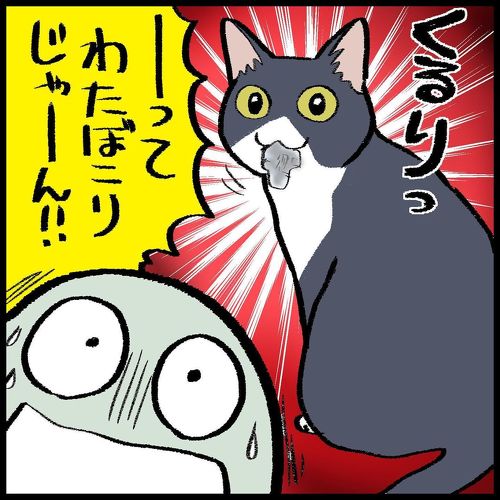 猫ちゃんとの駆け引き