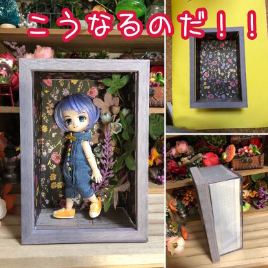 ディスプレイケース