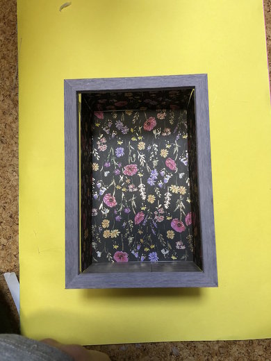 ディスプレイケース