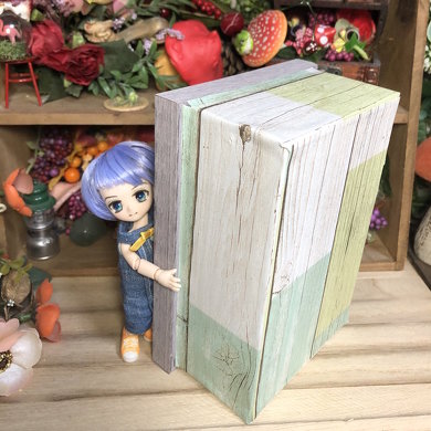 ディスプレイケース