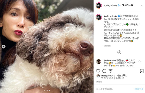工藤静香 ブロッコリー 愛犬