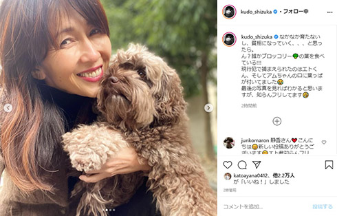 工藤静香 ブロッコリー 愛犬