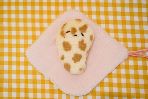 ナンの赤ちゃんがおくるみにのせられたところ