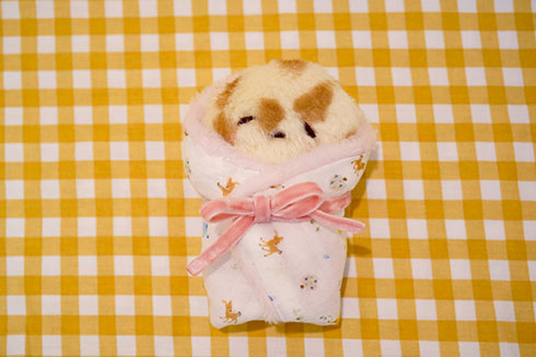 ナンの赤ちゃんがおくるみつつまれているところ