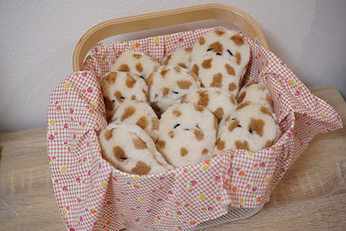 ナンの赤ちゃんの詰め合わせ