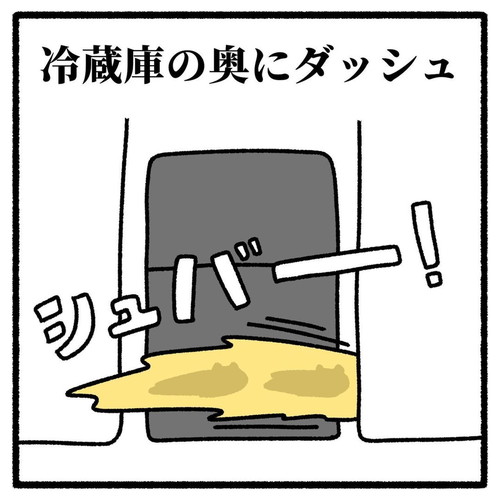 「猫が初めてうちにきた日」