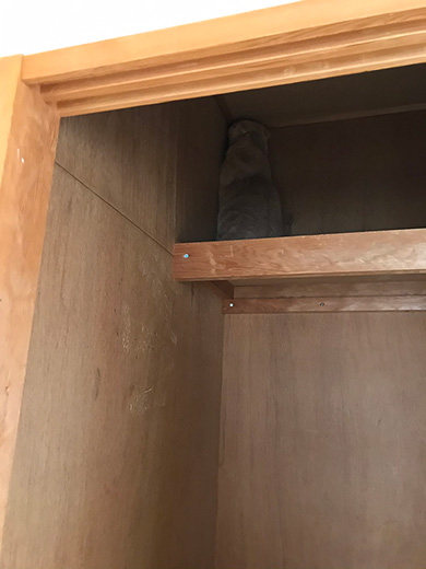 ひかりあんどーさん