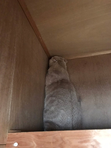 ひかりあんどーさん