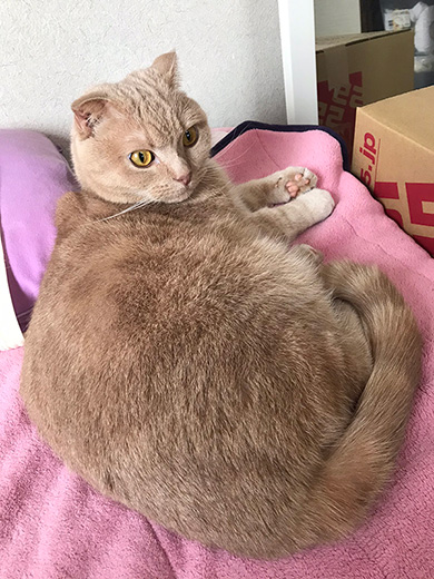 ひかりあんどーさん