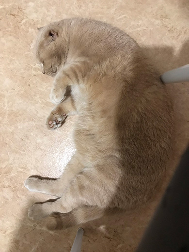 ひかりあんどーさん