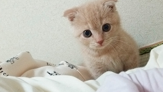 ひかりあんどーさん