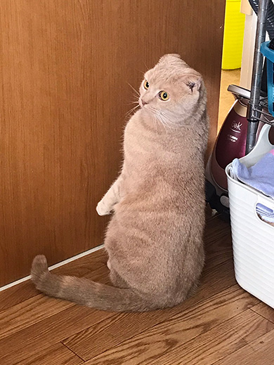 ひかりあんどーさん